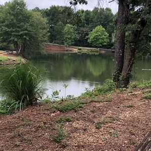 Meet your Posher, Aurora